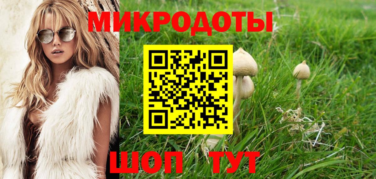 Галлюциногенные грибы Psilocybe  Вход с VPN  Александров 